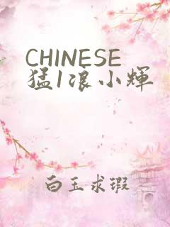 CHINESE猛1浪小辉