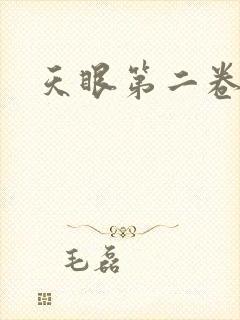 天眼第二卷
