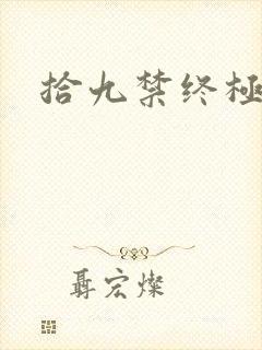 拾九禁终极直播
