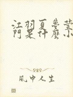 江羽夏梦莹神谕门是什么小说