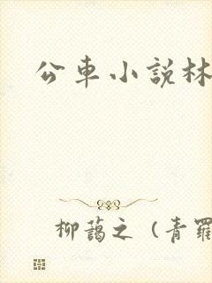 公车小说林蔓蔓