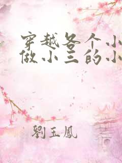 穿越各个小世界做小三的小说