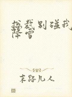 总裁别碰我 韩降雪