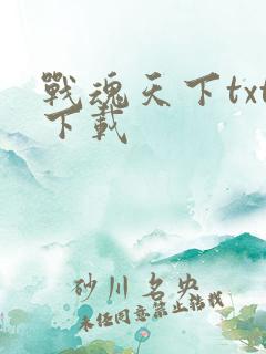 战魂天下txt下载