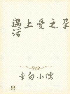 遇上爱之孕夫生活