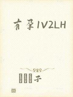 有孕1V2LH