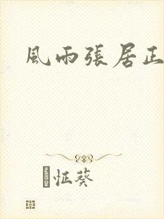 风雨张居正下载