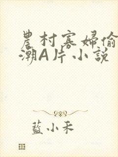 农村寡妇偷人高潮A片小说