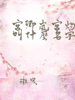 宫卿岚宫灼小说叫什么名字