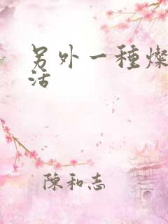 另外一种灿烂生活