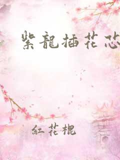 紫龙插花芯方正