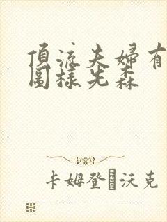 顶流夫妇有点甜图样先森