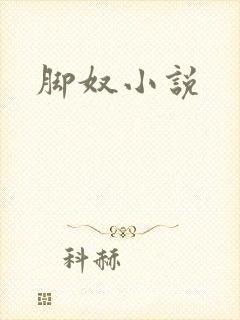 脚奴小说