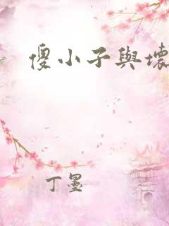 傻小子与坏女人