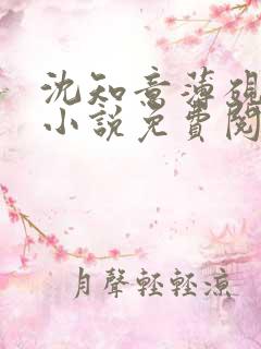 沈知意薄砚霆的小说免费阅读