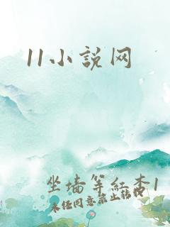 11小说网
