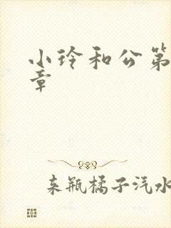 小玲和公第21章