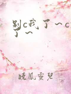 别c我了～c烂了～