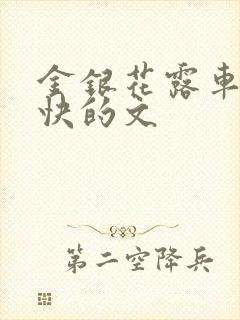 金银花露车速最快的文