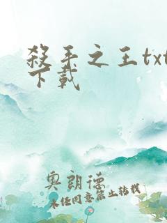 杀手之王txt下载