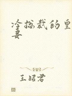 冷总裁的皇后暖妻