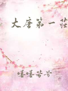 大唐第一庄