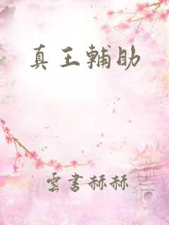 真王辅助