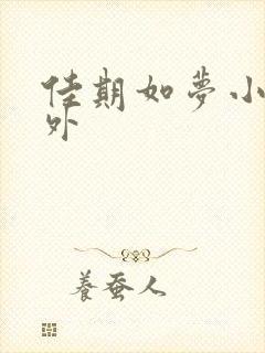 佳期如梦小说番外