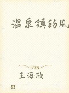 温泉镇的风流事
