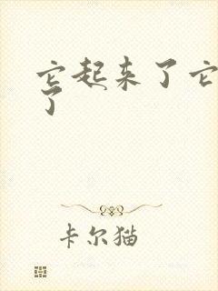 它起来了它想你了