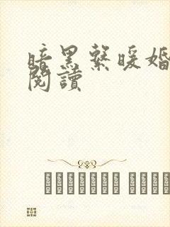 暗黑系暖婚免费阅读