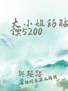 大小姐的贴身保镖5200