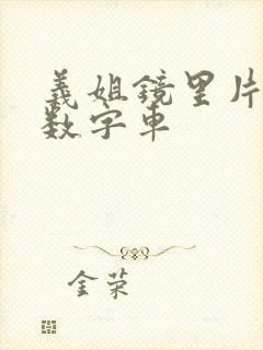 义姐镜里片微博数字车