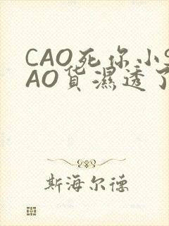 CAO死你小SAO货湿透了学长