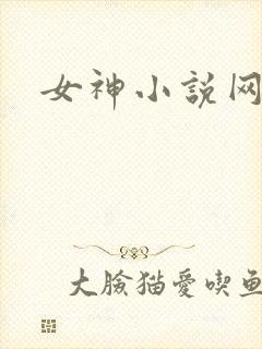 女神小说网