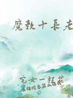 魔教十长老