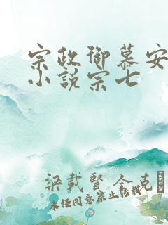 宗政御慕安安的小说宗七