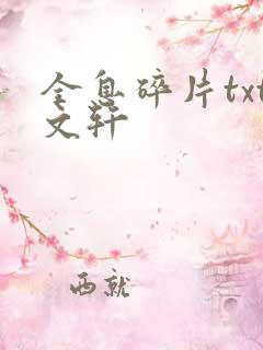 全息碎片txt文轩