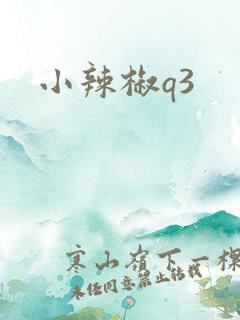 小辣椒q3