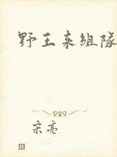 野王来组队小说