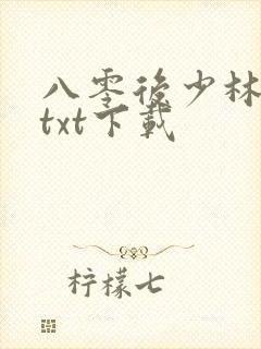 八零后少林方丈txt下载