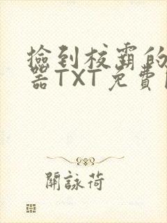 捡到校霸的遥控器TXT免费阅读