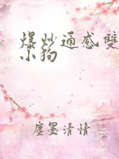 爆炒通感双胞胎小狗