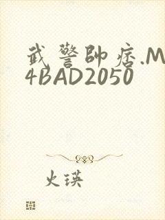 武警帅痞.MP4BAD2050