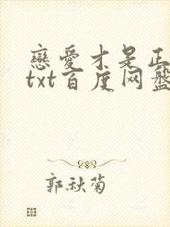 恋爱才是正经事txt百度网盘