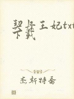 契丹王妃txt下载