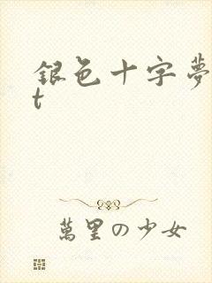 银色十字梦txt