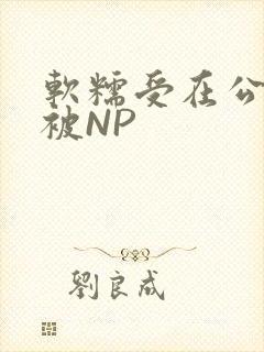 软糯受在公交车被NP