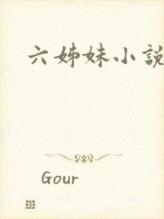 六姊妹小说