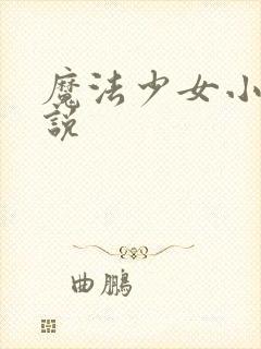 魔法少女小圆小说
